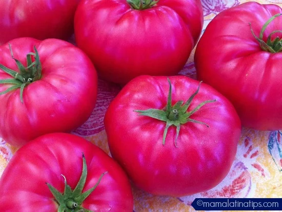 Five heirloom pink brandy tomatoes
