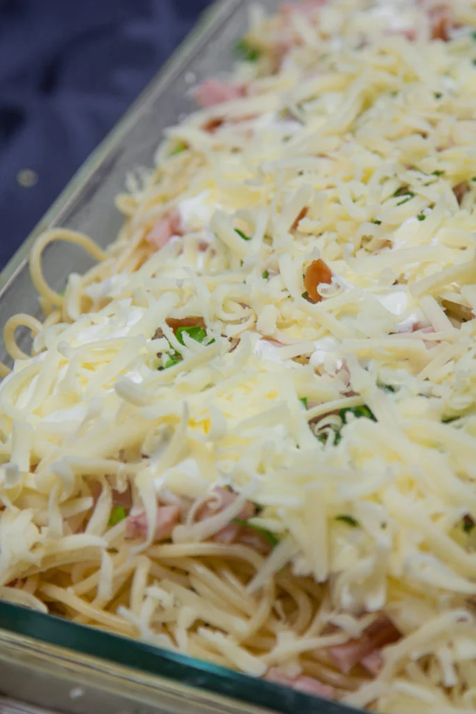espagueti con queso 