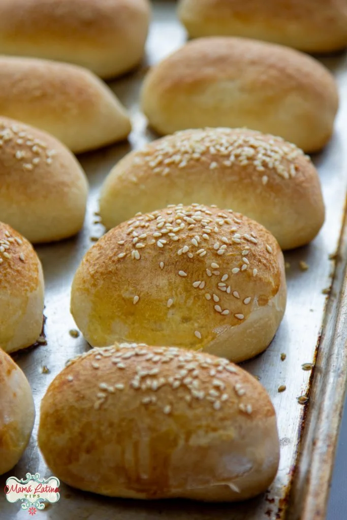 Bollos estilo parkerhouse con ajonjolí recién horneados.
